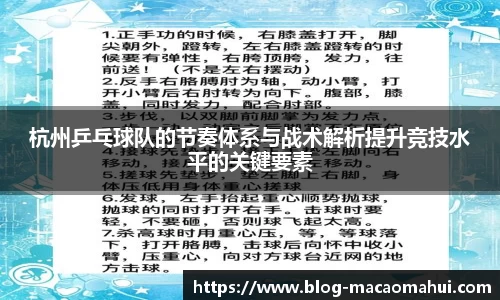 杭州乒乓球队的节奏体系与战术解析提升竞技水平的关键要素